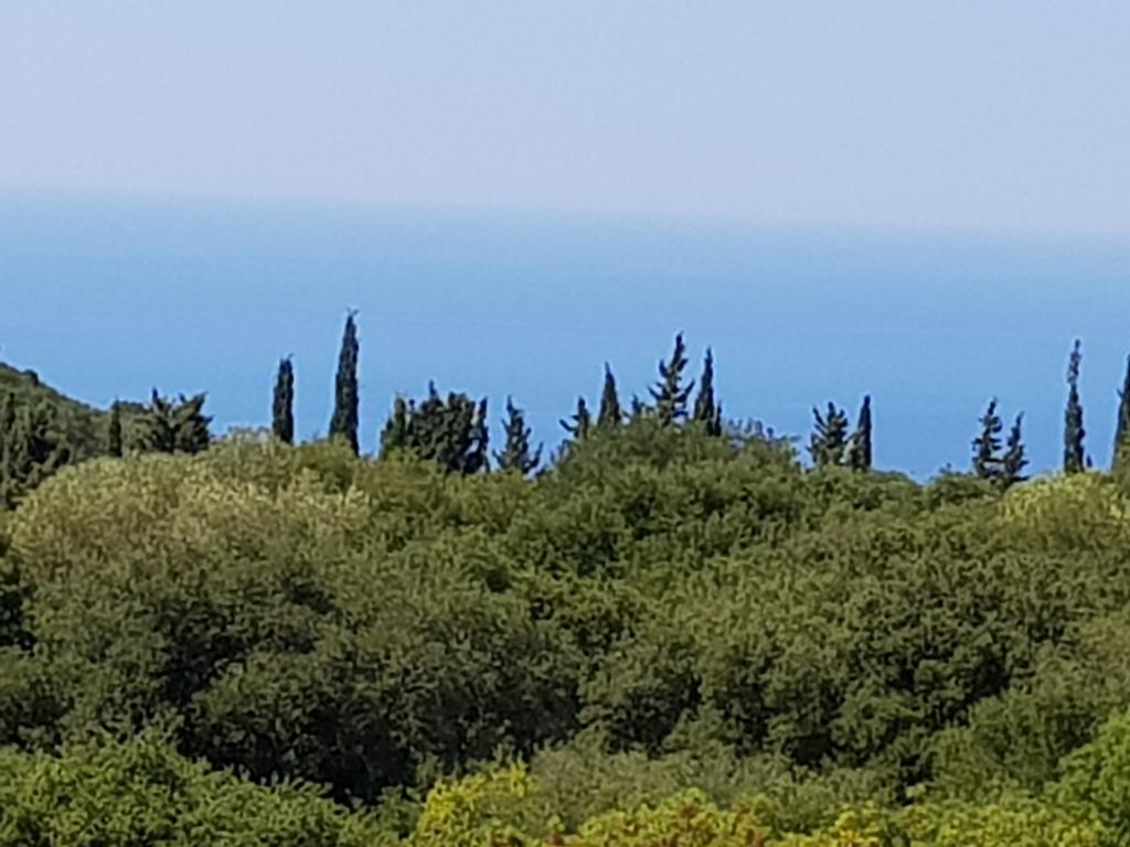 Alexia Ferentinou Apartament Fiskardo